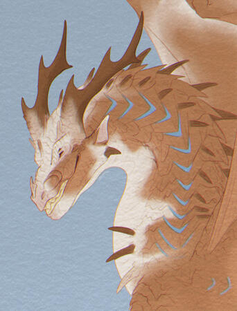 Flat Colour Flat Colour